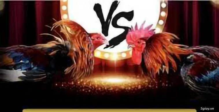 Khám Phá Đá Gà 789P Thiên Đường Cá Cược Kịch Tính Đỉnh Cao