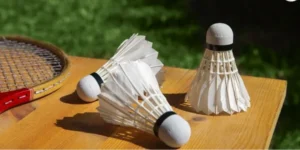 Hướng Dẫn Cách Chơi Cá Cược Cầu Lông Tại 789P Thú Vị Và Dễ Thắng 1 Hướng Dẫn Cách Chơi Cá Cược Cầu Lông Tại 789P Thú Vị Và Dễ Thắng